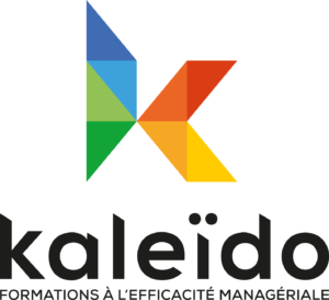 logo-kaleido Logo de KALEIDO